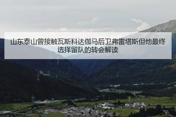山东泰山曾接触瓦斯科达伽马后卫弗雷塔斯但他最终选择留队的转会解读